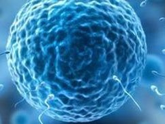 广州三代试管费用明细是怎么样的？筛查要多少钱？