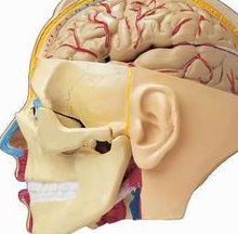 2026重庆试管收费数据标准分享，重庆试管助孕医院名单是哪些？