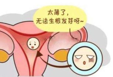 黑龙江试管婴儿收费透明，性价比之选